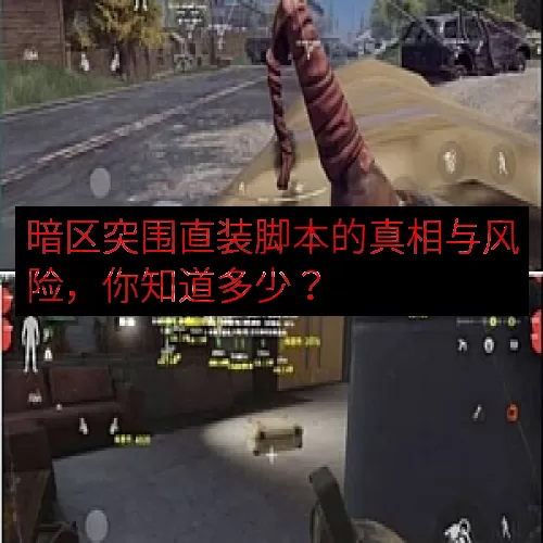 暗区突围直装脚本的真相与风险，你知道多少？